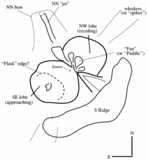 Image in this article