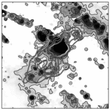 Image in this article