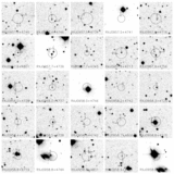 Image in this article