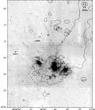 Image in this article