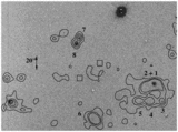 Image in this article