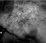 Image in this article