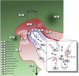 Image in this article