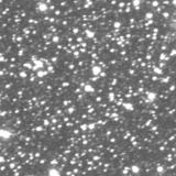 Image in this article