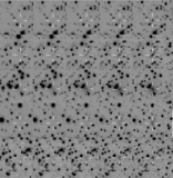 Image in this article