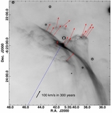 Image in this article