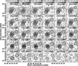 Image in this article