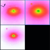 Image in this article