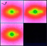 Image in this article