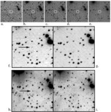 Image in this article