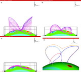 Image in this article