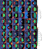 Image in this article