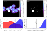 Image in this article