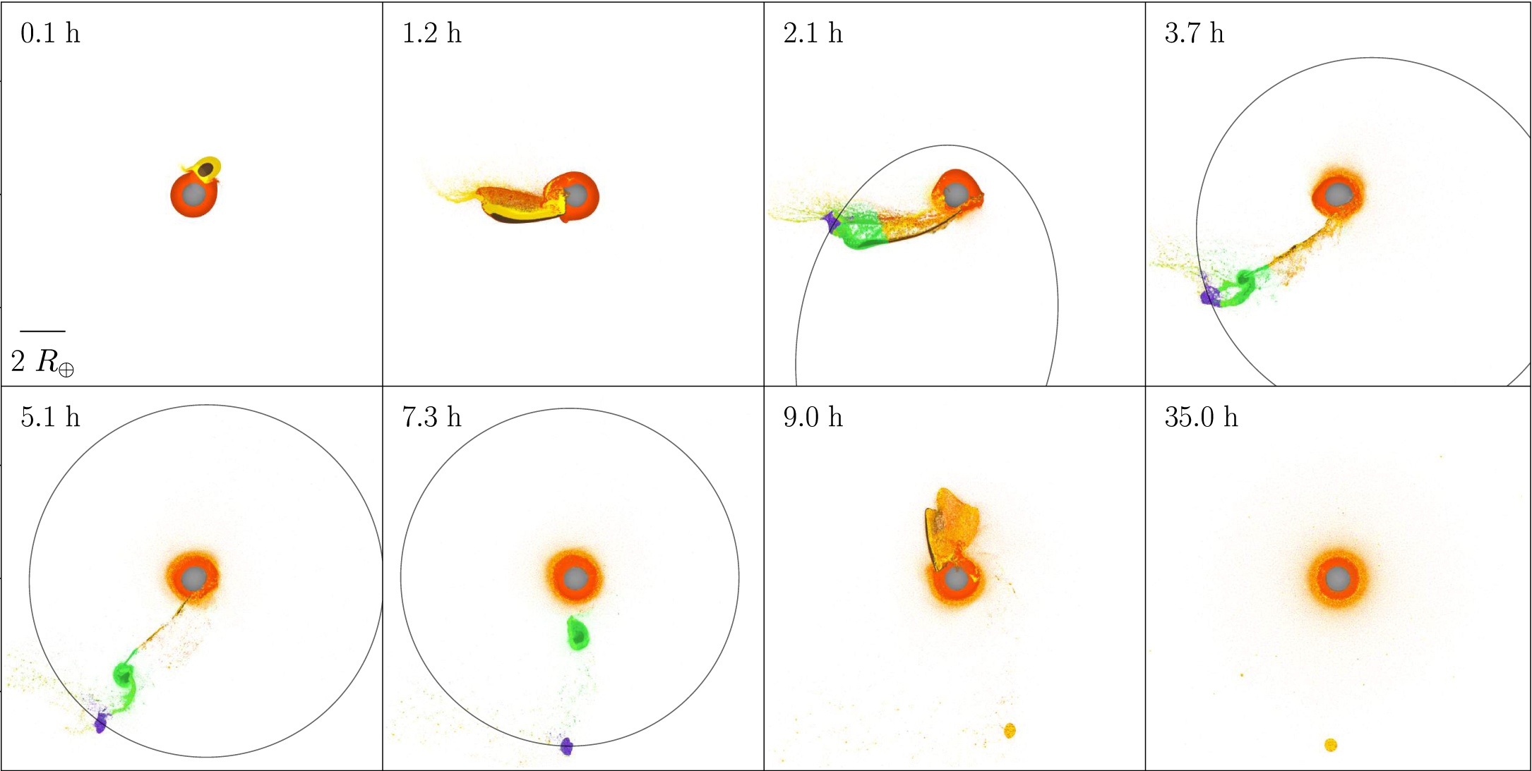 Figure 1 from