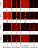 Image in this article