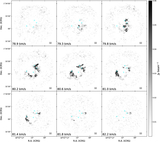 Image in this article