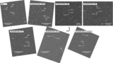 Image in this article
