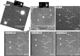 Image in this article
