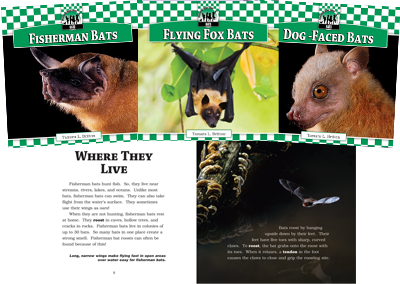 Bats Set 1