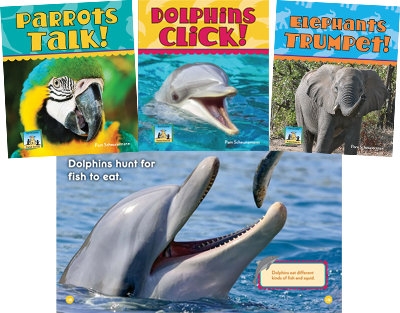 Animal Sounds Set 2 