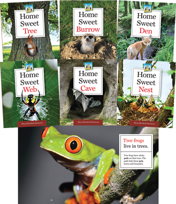 Animal Homes