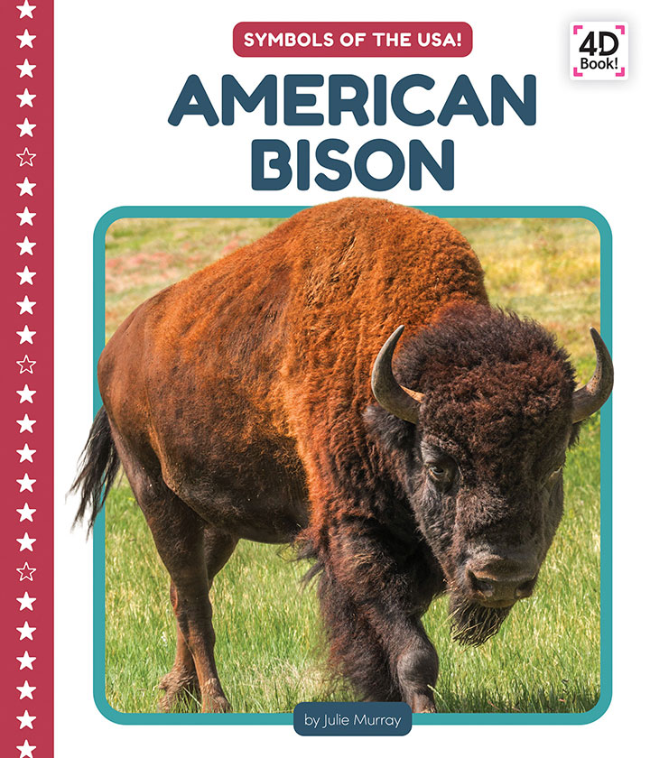 American Bison 