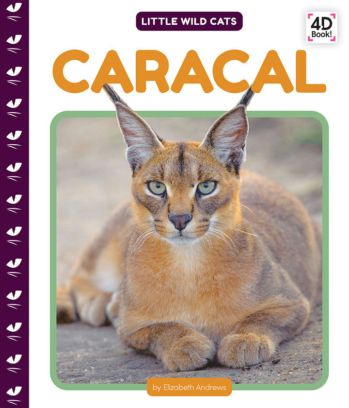 Caracal