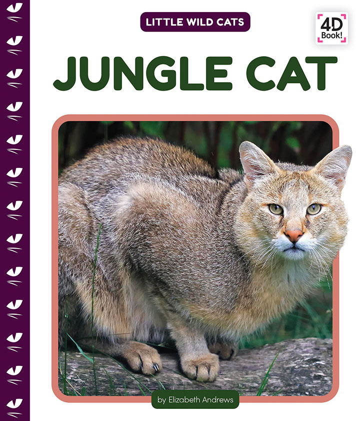 Jungle Cat