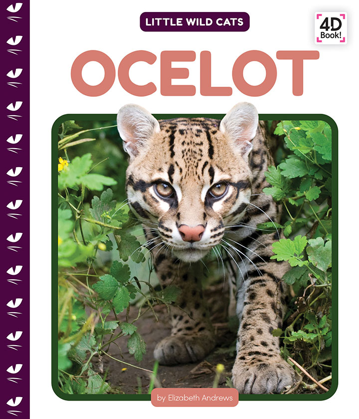 Ocelot