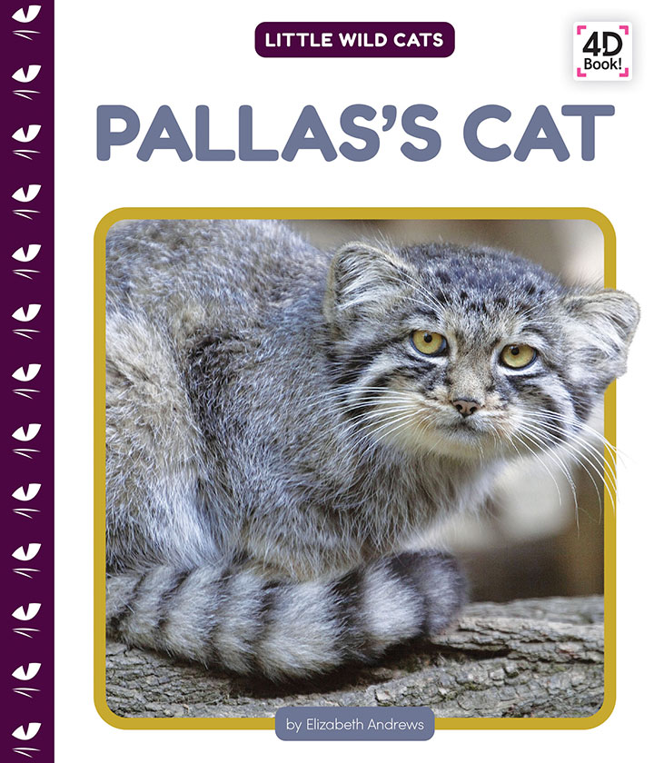 Pallas's Cat