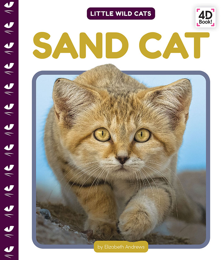 Sand Cat