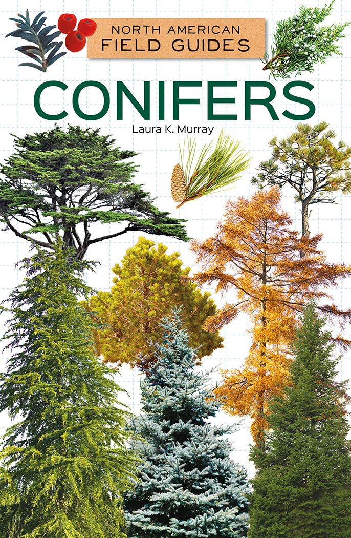 Conifers
