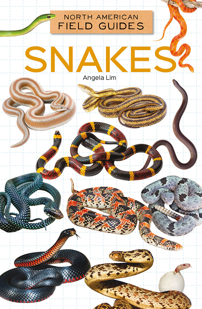 Snakes