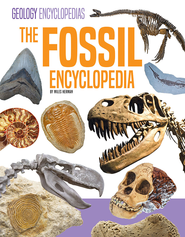 The Fossil Encyclopedia