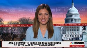 Washington Post Congressional Correspondent Jackie Alemany Named MSNBC