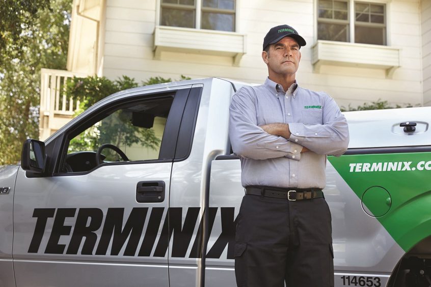 Terminix Launches Creative Agency of Record Review