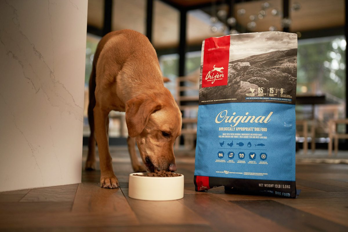 Champion Petfoods Names TDA Boulder as AOR For North America