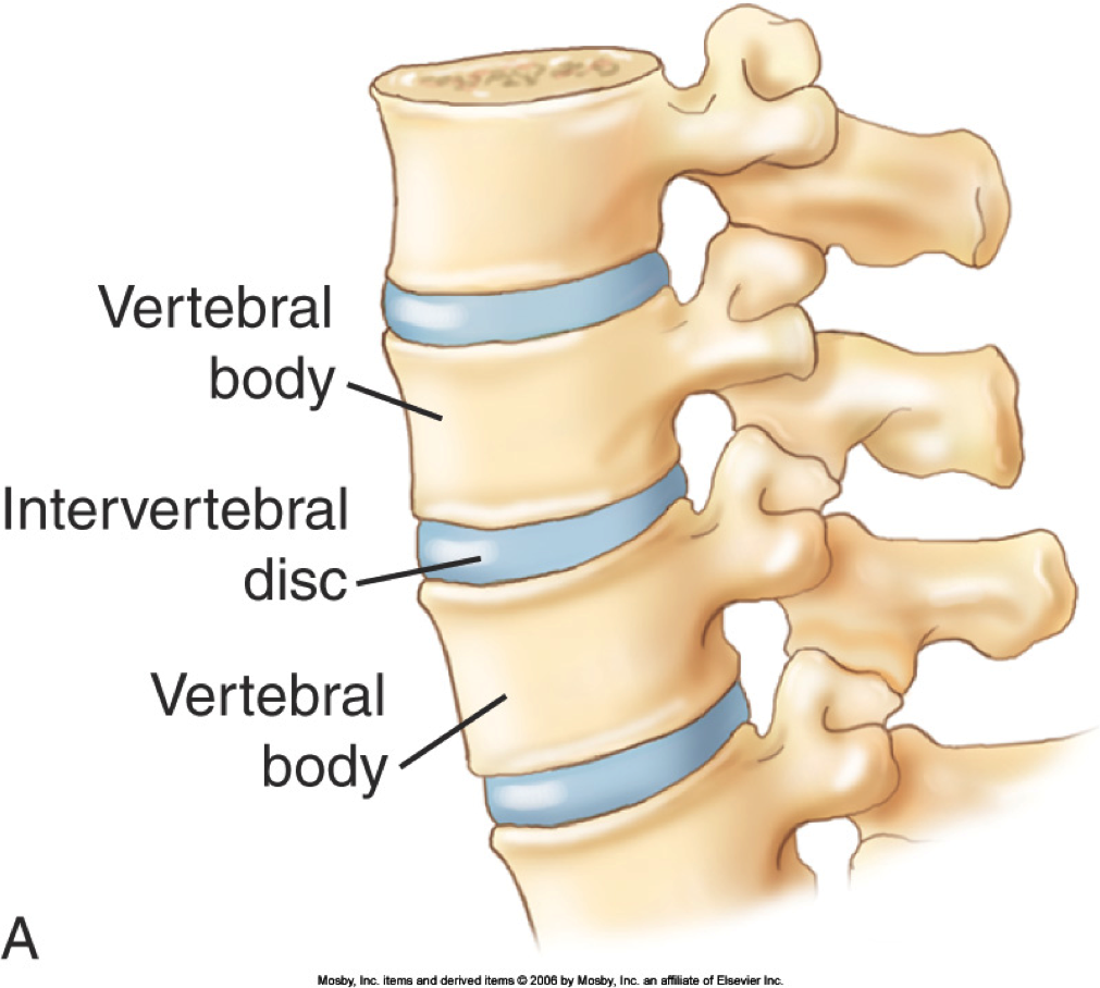 Mark Reinke What is "neutral spine" and why it is important for you