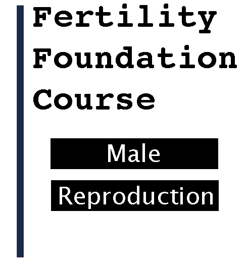 Part 4 - Male Reproduction