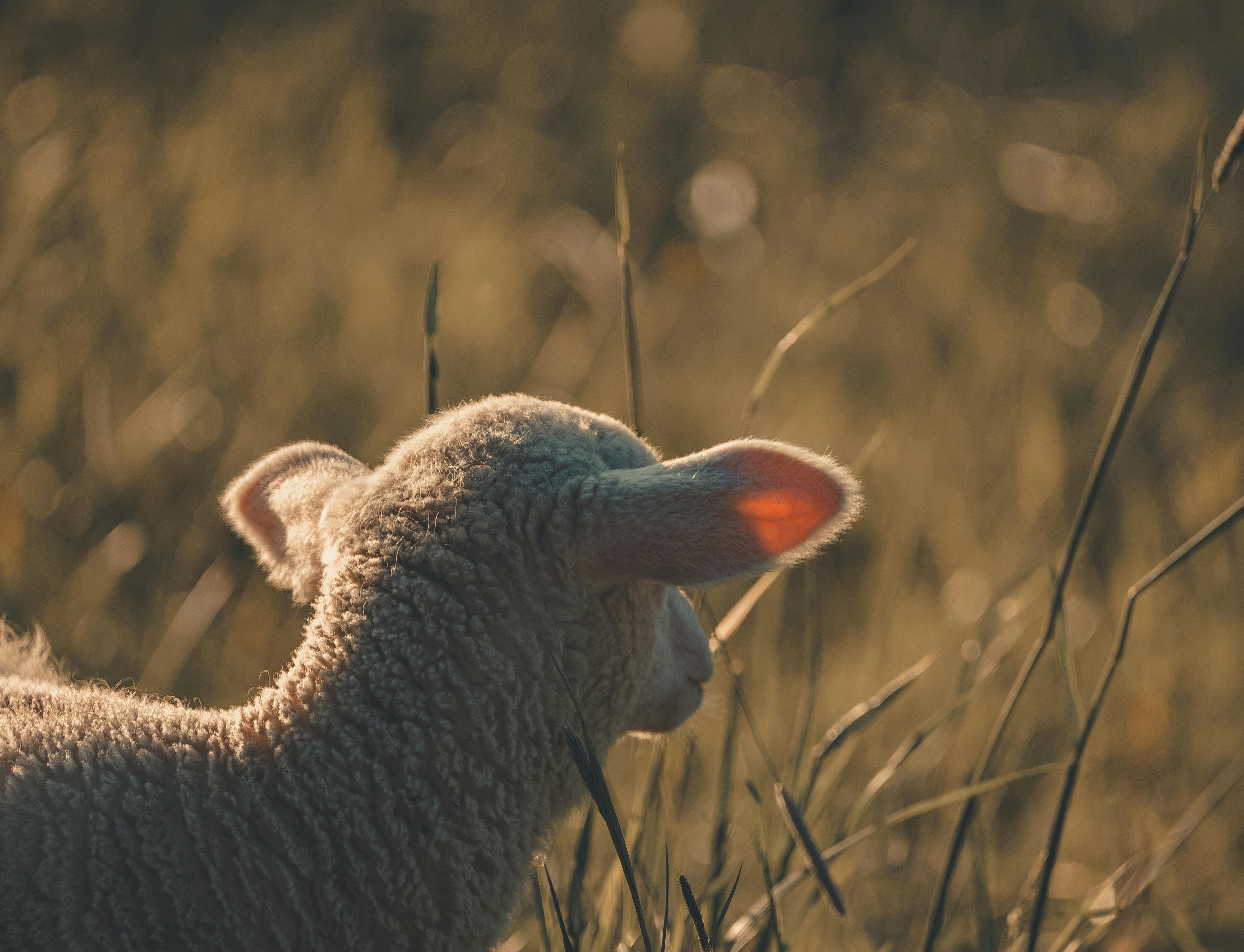 How Powerful is the Gospel?