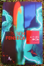 Capa do material com o título A coleira do cão do Autor Fonseca, Rubem