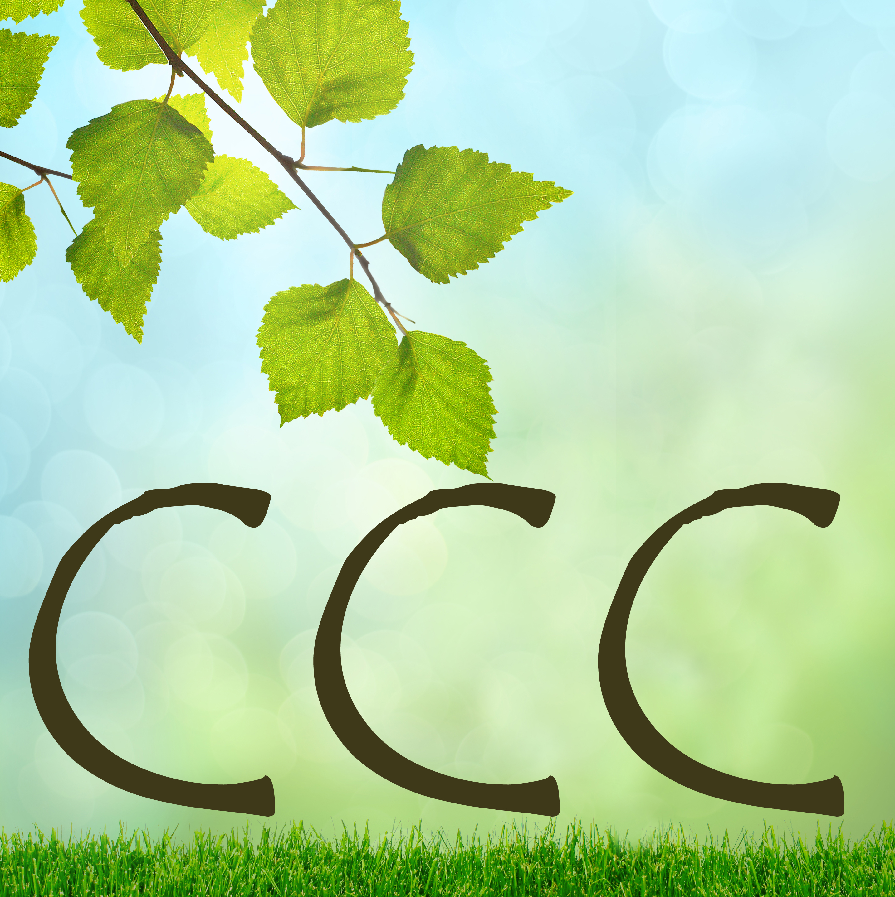 Community Children's Center