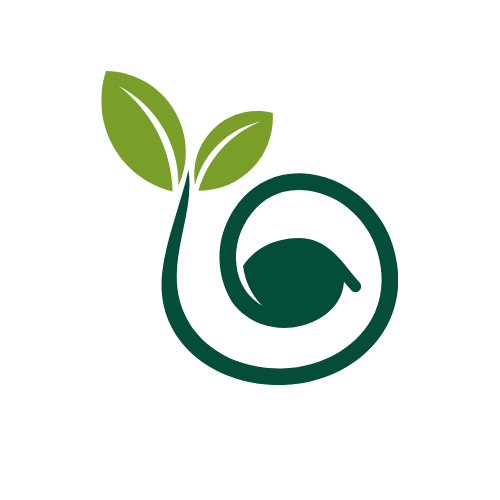 The Reggio Academy