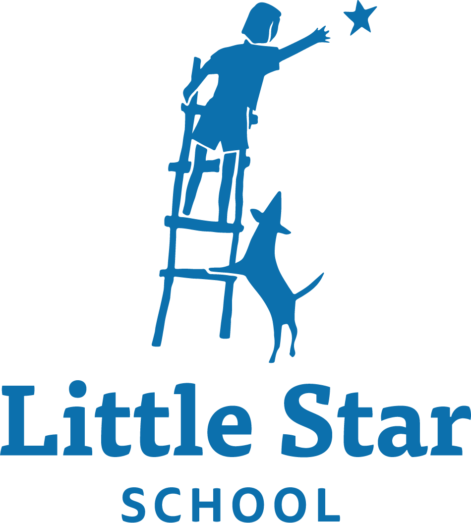 Little Star School 