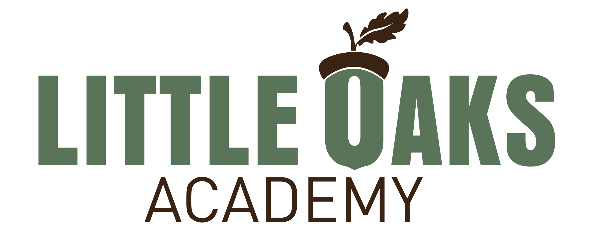 Little Oaks Academy