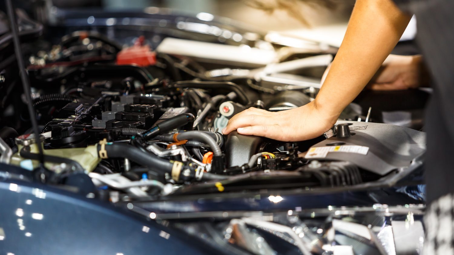 Tires Auto Service Coupons And Discounts Action Gator Tire
