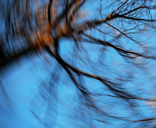 Image floue d'un arbre