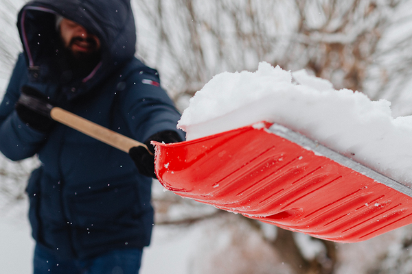 Image pelletage : quand la technique fait toute la différence