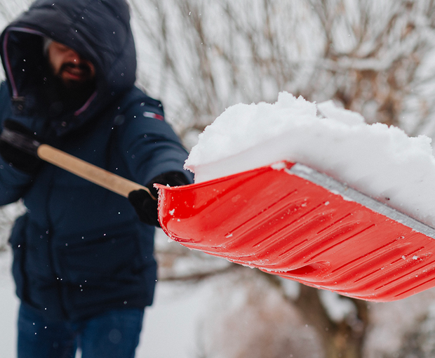 Image pelletage : quand la technique fait toute la différence