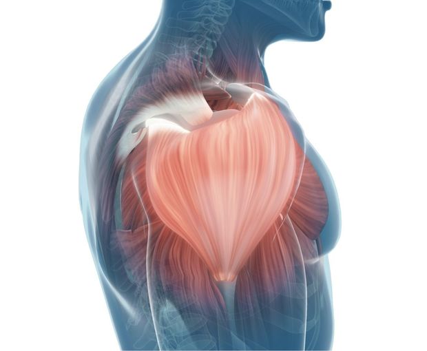 5 conseils pour vous aider avec votre blessure à l'épaule